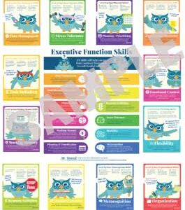 Set of 13 Executive Function Strategy Posters